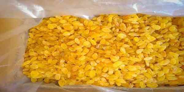 کشمش تیزابی خشک‌ شده با روش کنترل‌ شده